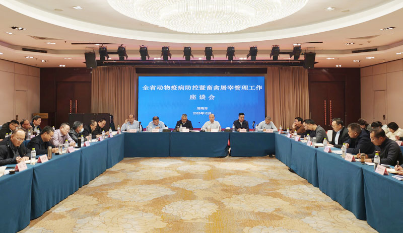 全省動(dòng)物疫病防控暨屠宰管理工作座談會(huì )在濟南召開(kāi)